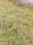 Mlolongo Phase 1 & 2 Plots for Apartments (Impara & Biashara St) - 2