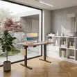 Adjustable Height Standing Desk 1600MM - 1