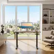 Adjustable Height Standing Desk 1600MM - 2