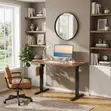 Adjustable Height Standing Desk 1600MM - 3