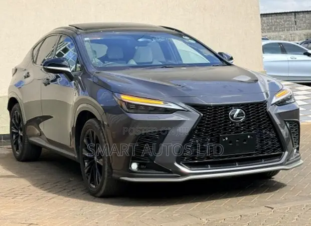 Lexus NX 2022 Gray - 1