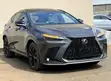 Lexus NX 2022 Gray - 1
