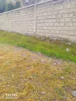 Katani Camp 50x100 Plot for Apartments - Quick Sale - 2