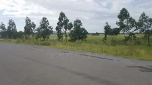 Eka 210 za Ardhi Nzuri kwa Mauzo - Pwani ya Kusini