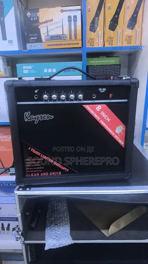 Kaysen TB-30 Bass Combo Amplifier