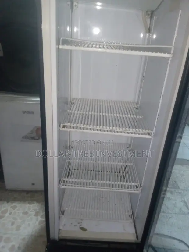 Frigorex Display Fridge 148 Litres - 1