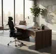 Orthopedic Executive Adjustable Office Chair - 4