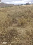 Daystar University Area 50x100 Plots, 2km Before 50, 6km to Mombasa Rd - 2