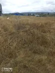 Daystar University Area 50x100 Plots, 2km Before 50, 6km to Mombasa Rd - 3