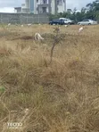 Daystar University Area 50x100 Plots, 2km Before 50, 6km to Mombasa Rd - 4