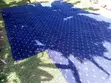 Heavy Duty Navy Blue Floral Carpet - Fireproof & Commercial Grade - 2
