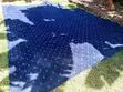 Heavy Duty Navy Blue Floral Carpet - Fireproof & Commercial Grade - 3