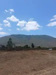 Plots for Sale in Kilimambogo, Wendano Area - 1