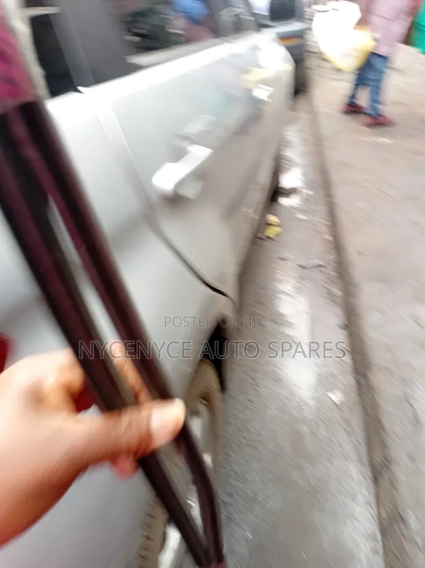 Toyota Voxy/Noah Roof Moulding - 1
