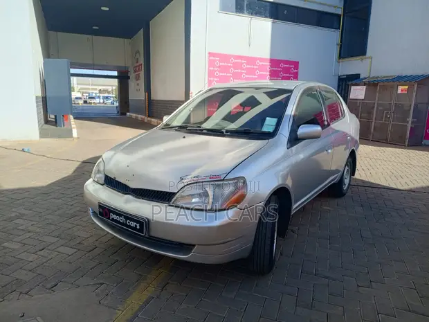 Toyota Platz 2002 Silver - 1