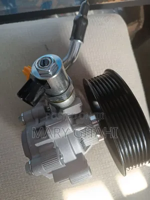 Steering Pump for Toyota Prado 150 (1GD Engine)