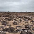 Quarry Land for Sale: Katani, Stone Athi, Lukenya - 1