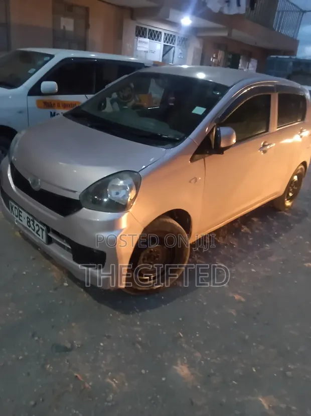 Experienced Driver for Bolt, Uber, Faras, Online - 1