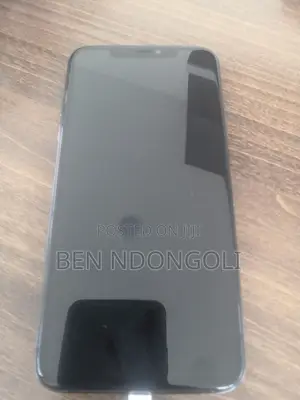 Apple iPhone 11 Pro Max 256GB Gray