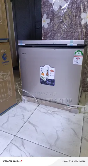 Ecomax 219L Chest Freezer - Kina Nafasi na Cha Kuaminika