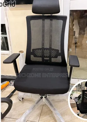 Managerial High-Back Orthopedic Mesh Office Chair - Black