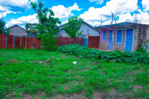 Kigajo Thika Land for Sale - 50x100 Plot - 1