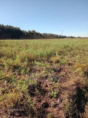 5 Acres Land for Sale along Ndunyu Njeru-Kinangop Road