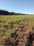 5 Acres Land for Sale along Ndunyu Njeru-Kinangop Road - 1