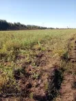 5 Acres Land for Sale along Ndunyu Njeru-Kinangop Road - 2