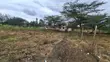 Prime 50x100 Plots for Sale - Merisho Road, Ngong - 4