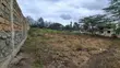 Prime 50x100 Plots for Sale - Merisho Road, Ngong - 5