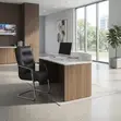 Heavy Leather Cushioned Office Board Chairs - 3
