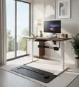 Ergonomic 1.2m Electric Modern Standing Desk - 2