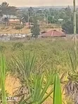 Kinanie Near Town 50x100 Residential Plots - 1