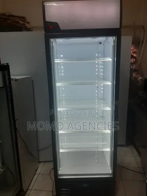 Sandenintercool 650L Display Fridge