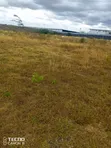 Lukenya Road Land for Sale: 5, 10, 15 Acres Off Mombasa Road - 1