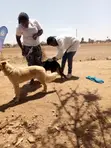 TailTales Huduma za Mifugo - Ruiru & Thika Road - 5