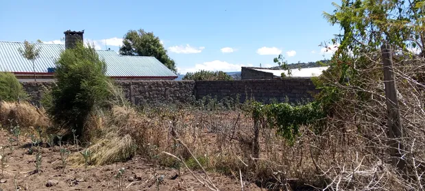 Plot for Sale Kayole, Naivasha - 50x100 - 1