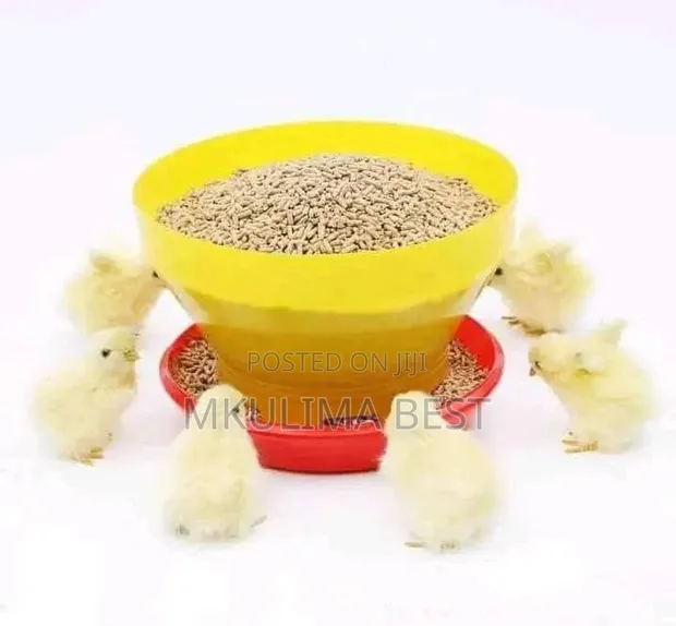 Broiler Feeders - Imported - 1