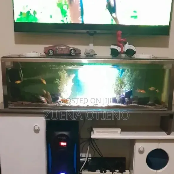 Indoor Aquarium with Fish and Equipment - 1