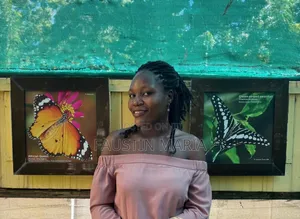 Mtaalamu wa Huduma kwa Wateja Freelancer
