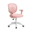Adjustable Mesh Kids Study Chair - 5
