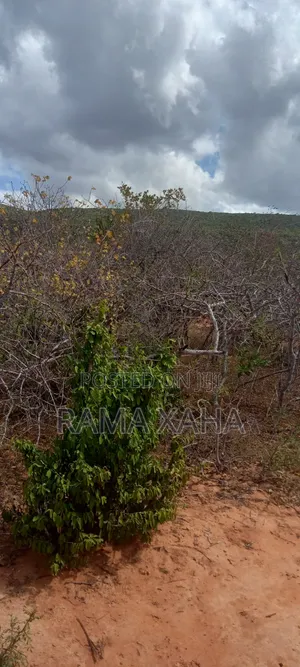 Eka 40 Zinazogusa Mlima Mwangea Zenye Hati Tayari