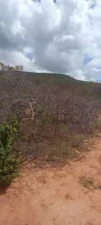Eka 40 Zinazogusa Mlima Mwangea Zenye Hati Tayari - 3