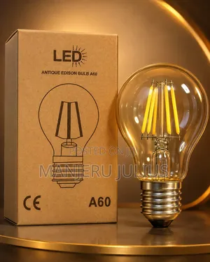 A60 LED Filament Bulb