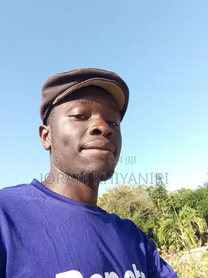 Driver CV - Joram, 26
