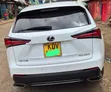 Lexus NX 2018 White - 4