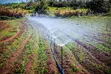 Drip Irrigation Systems - 2