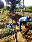 Drip Irrigation Systems - 5