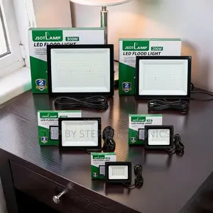 Factory Price AC Electric Flood Lights (30W-300W)